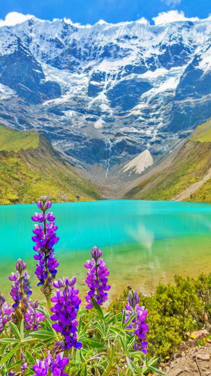 laguna-humantay-tour-peru-vip-7