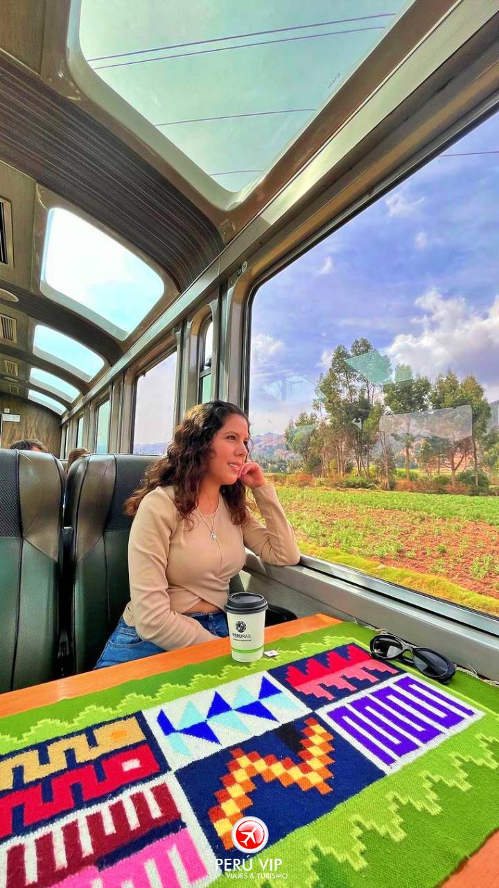 tren-vistadome-tour-machu-picchu-peru-vip-1