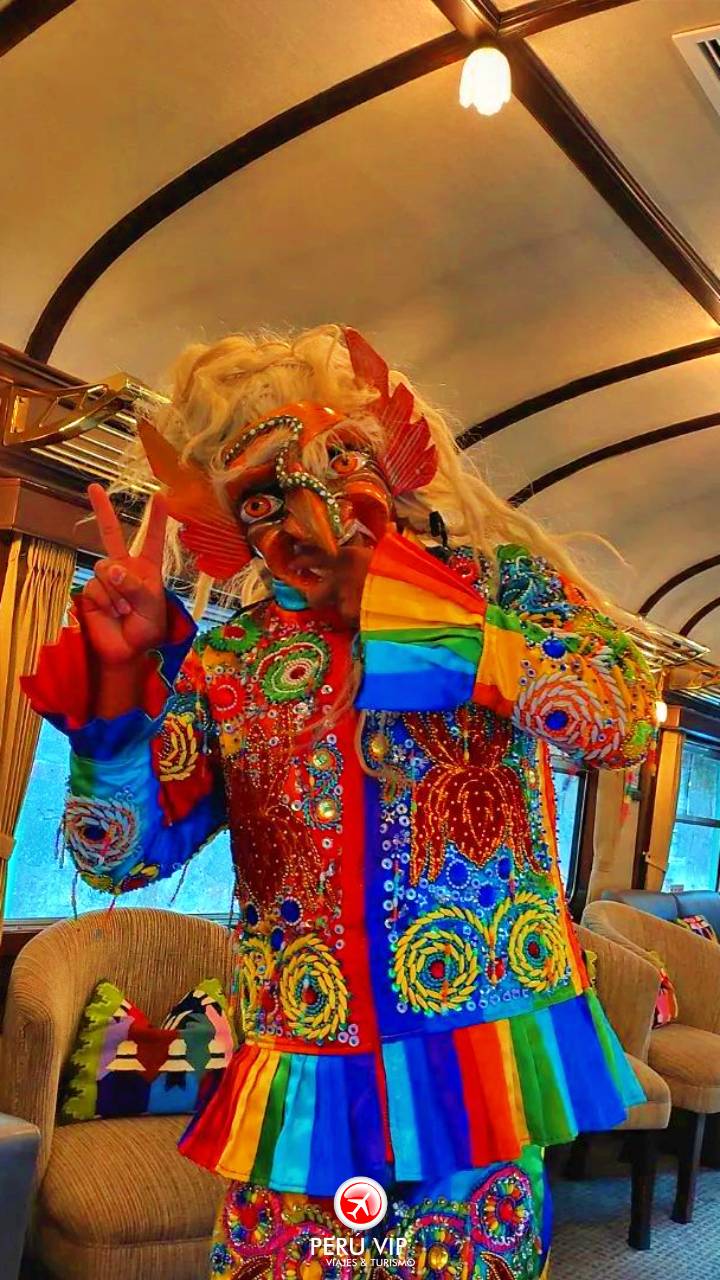 tren-vistadome-tour-machu-picchu-peru-vip-21