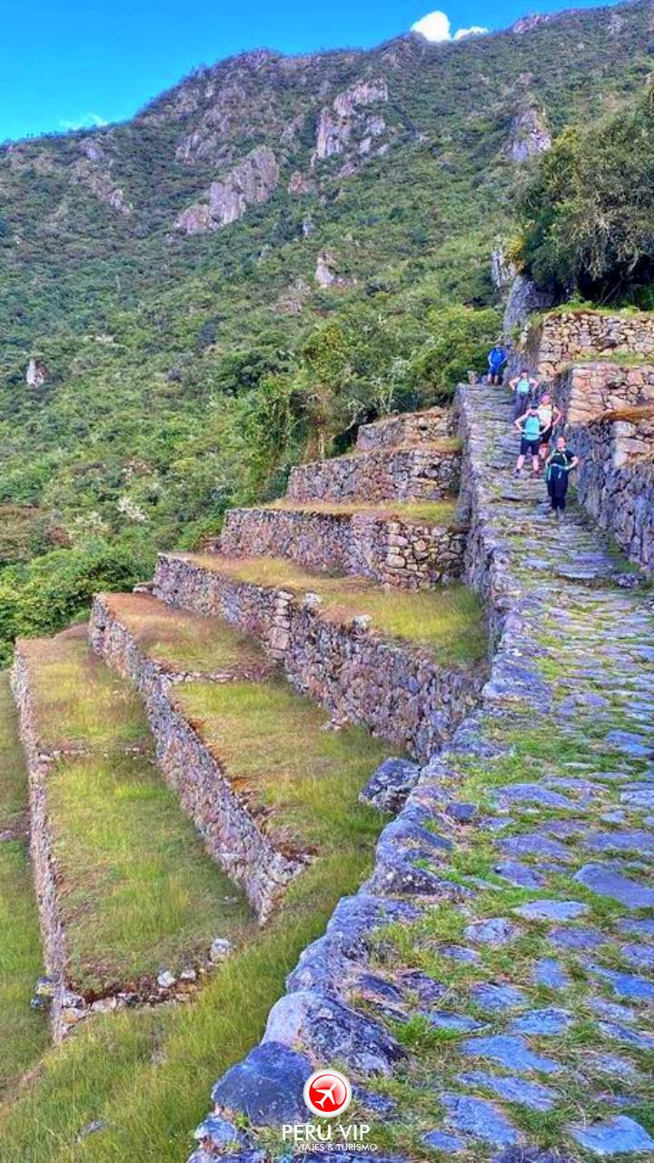 tren-vistadome-tour-machu-picchu-peru-vip-22