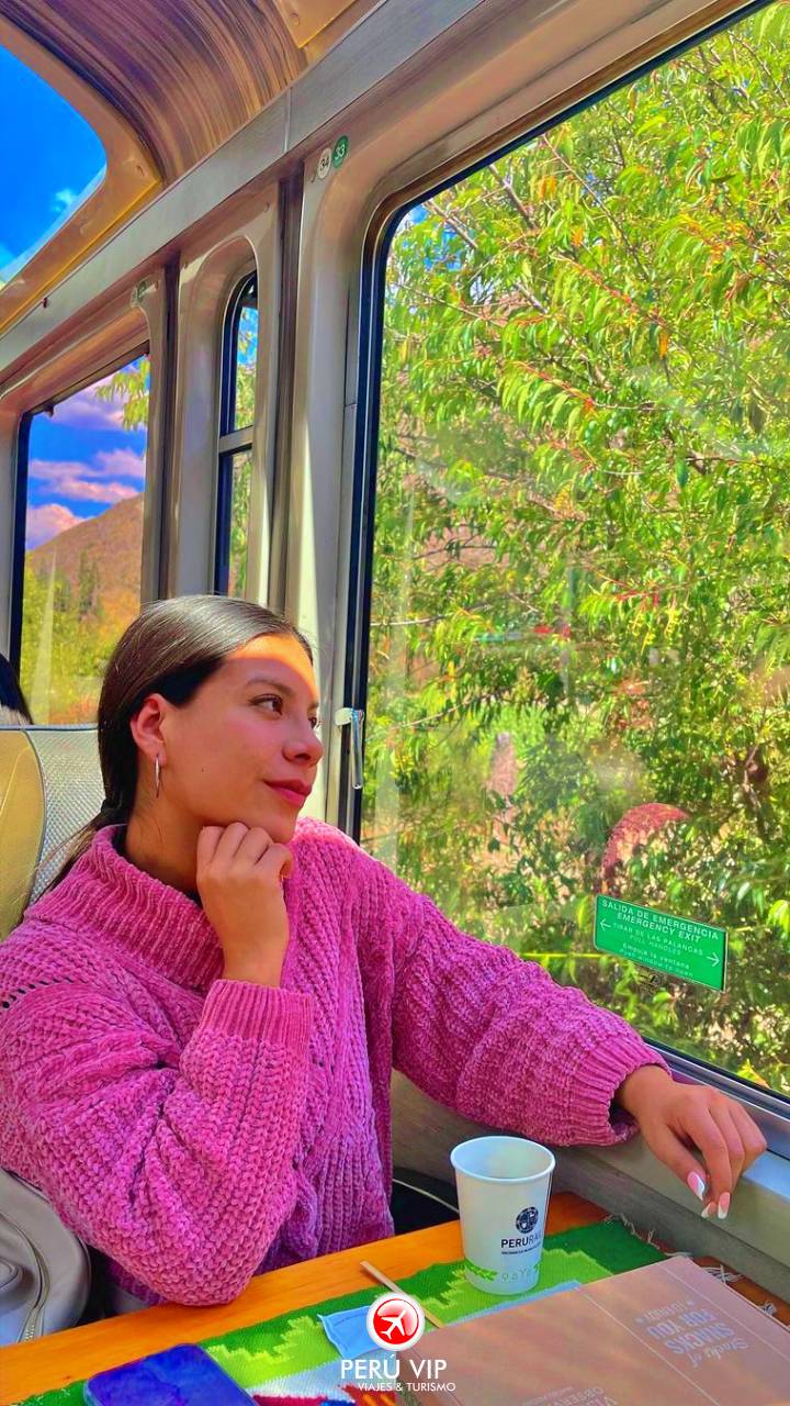tren-vistadome-tour-machu-picchu-peru-vip-23