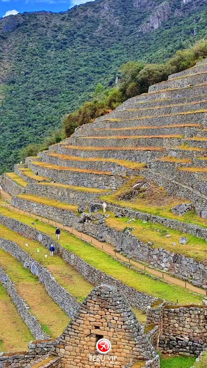 tren-vistadome-tour-machu-picchu-peru-vip-25