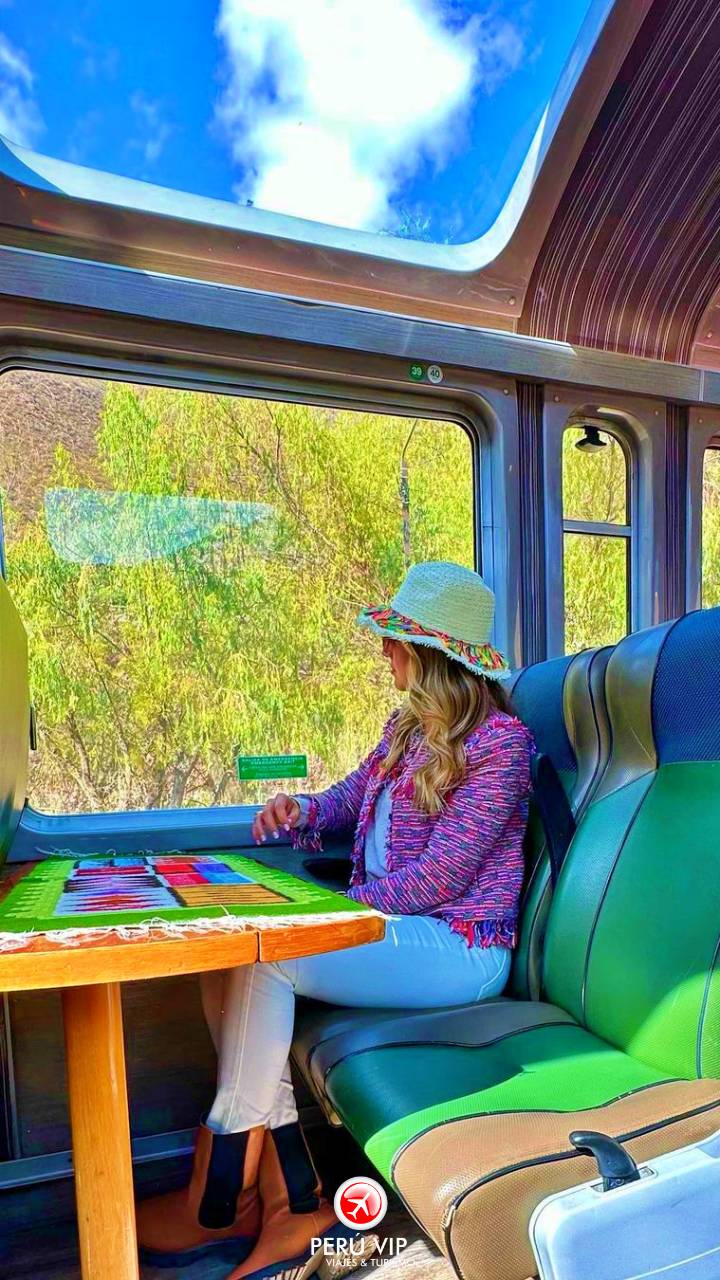 tren-vistadome-tour-machu-picchu-peru-vip-35