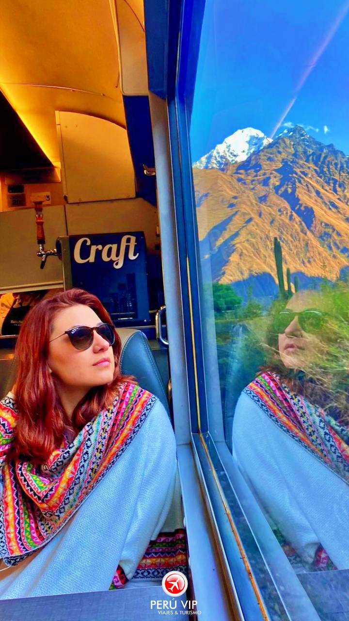 tren-vistadome-tour-machu-picchu-peru-vip-38