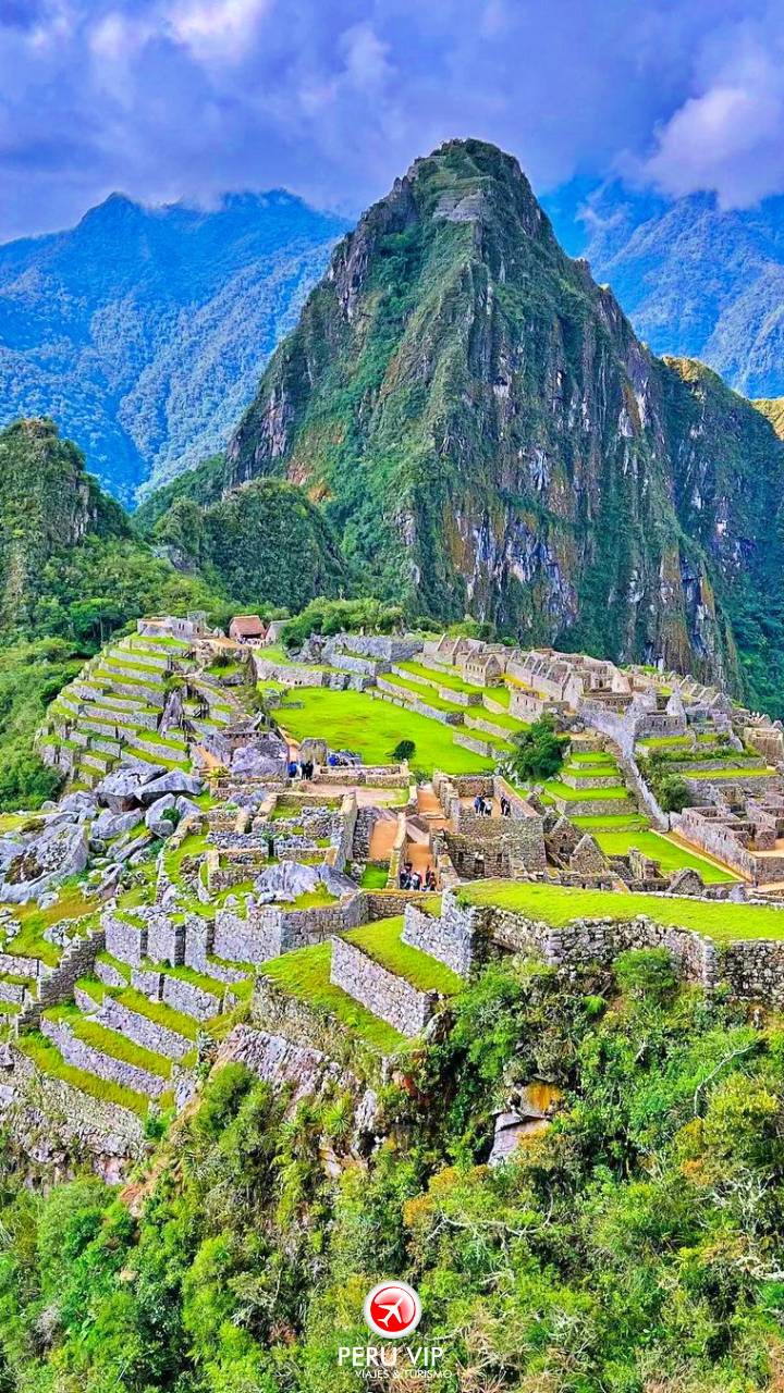 tren-vistadome-tour-machu-picchu-peru-vip-41