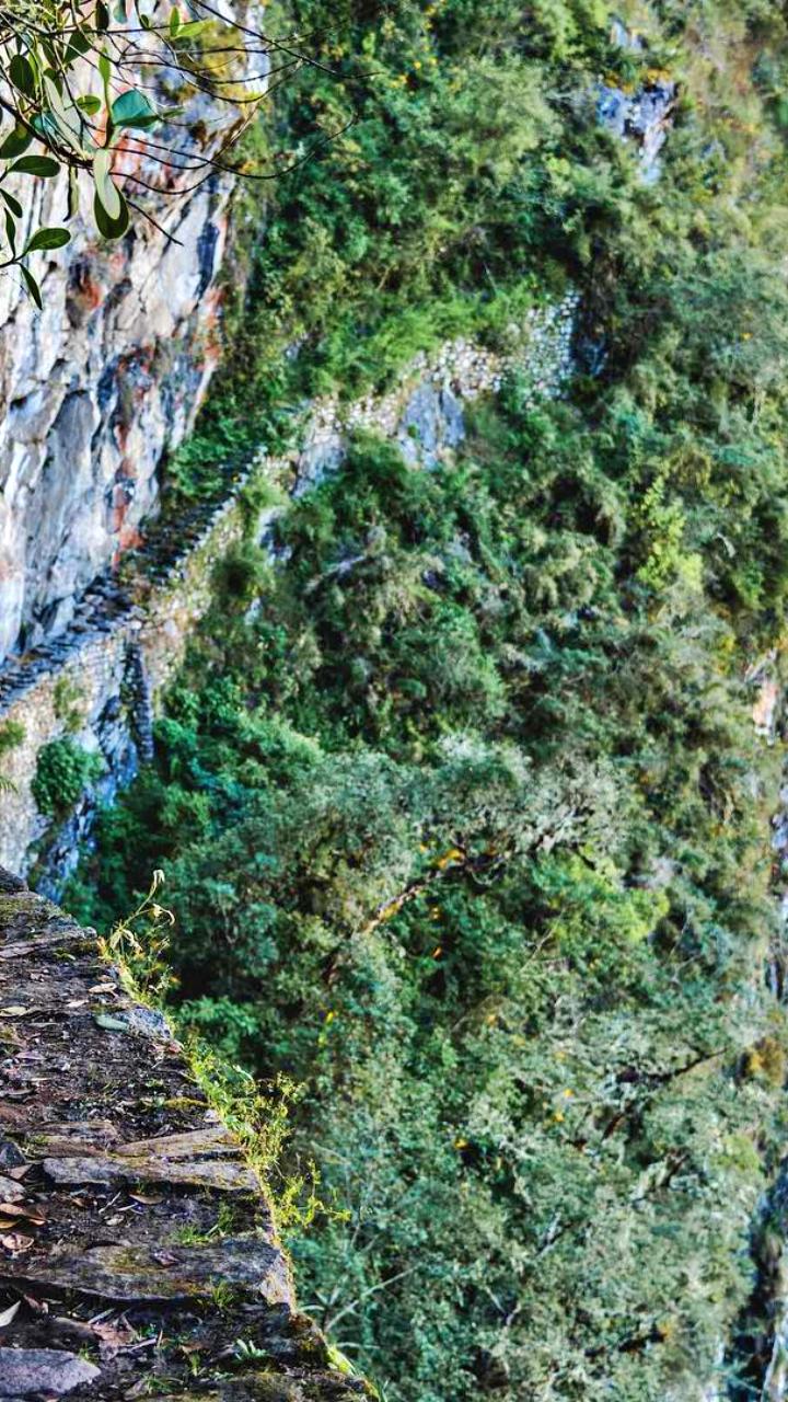 tour-machupicchu-con-puente-inca-1-dia-peru-vip 14