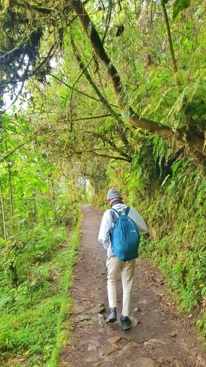 tour-machupicchu-con-puente-inca-1-dia-peru-vip 17