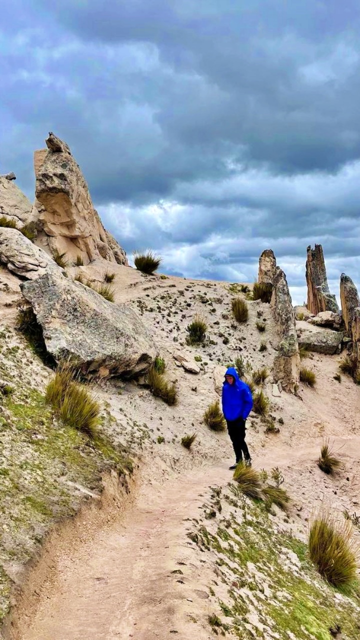 tour-palcoyo-1-dia-peru-vip-15