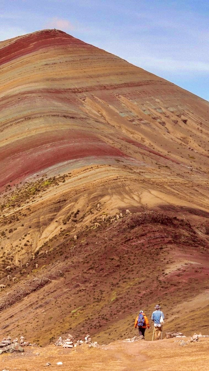 tour-palcoyo-1-dia-peru-vip-19