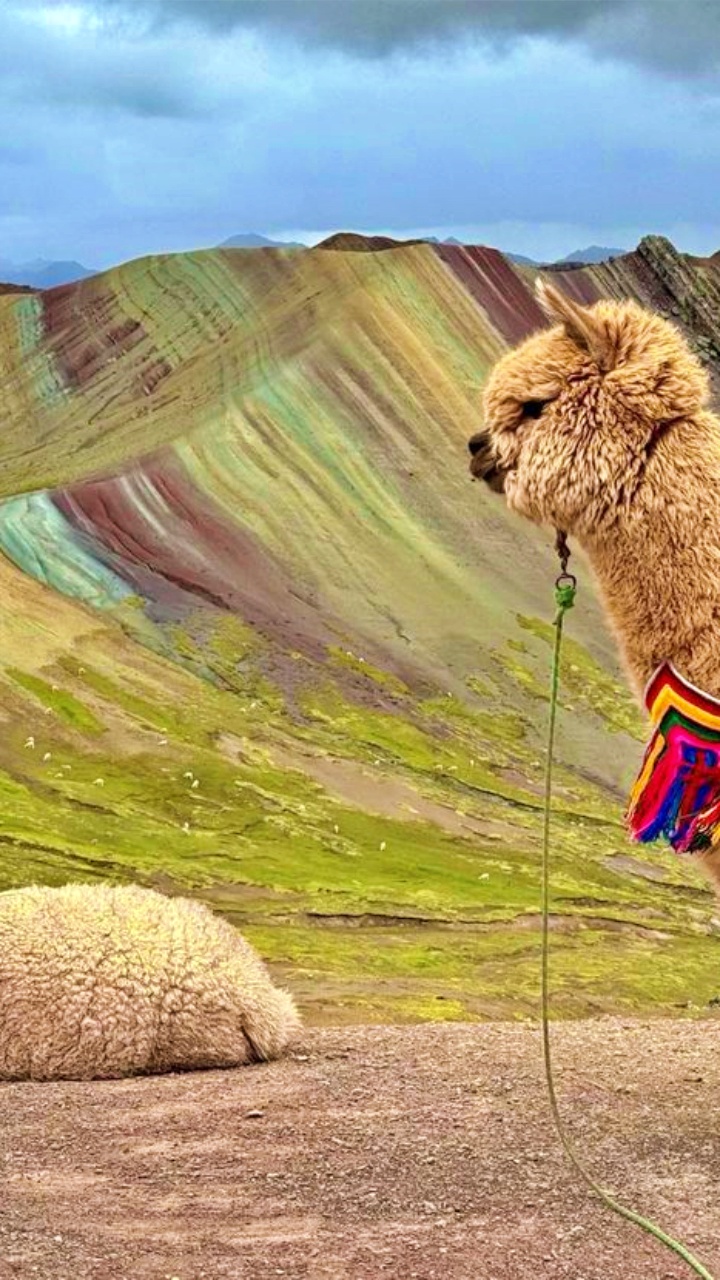 tour-palcoyo-1-dia-peru-vip-20