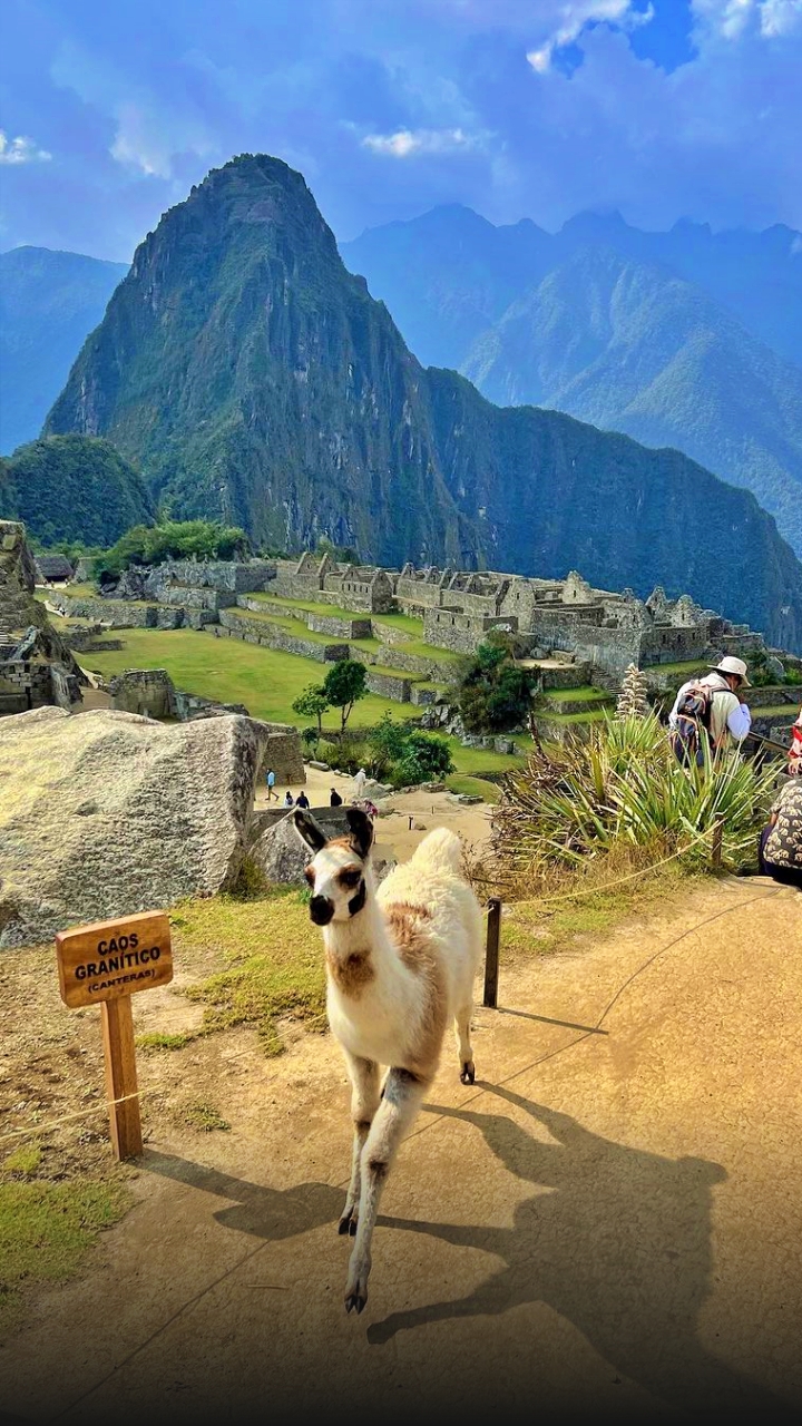 tour-machu-picchu-peru-vip-20